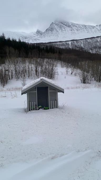 Skogstad Ferie Og Fritid Ferienhaus *